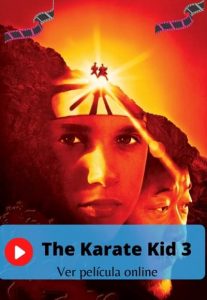 The Karate Kid 3 ver película online