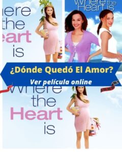 ¿Dónde Quedó El Amor? ver película online